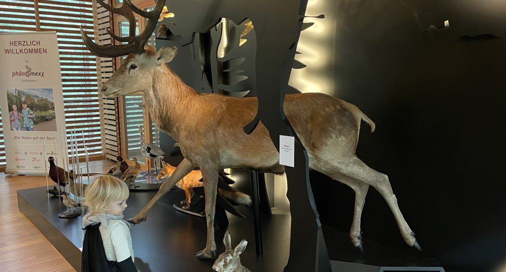 Natur interaktiv erleben im Naturparkhaus Raesfeld