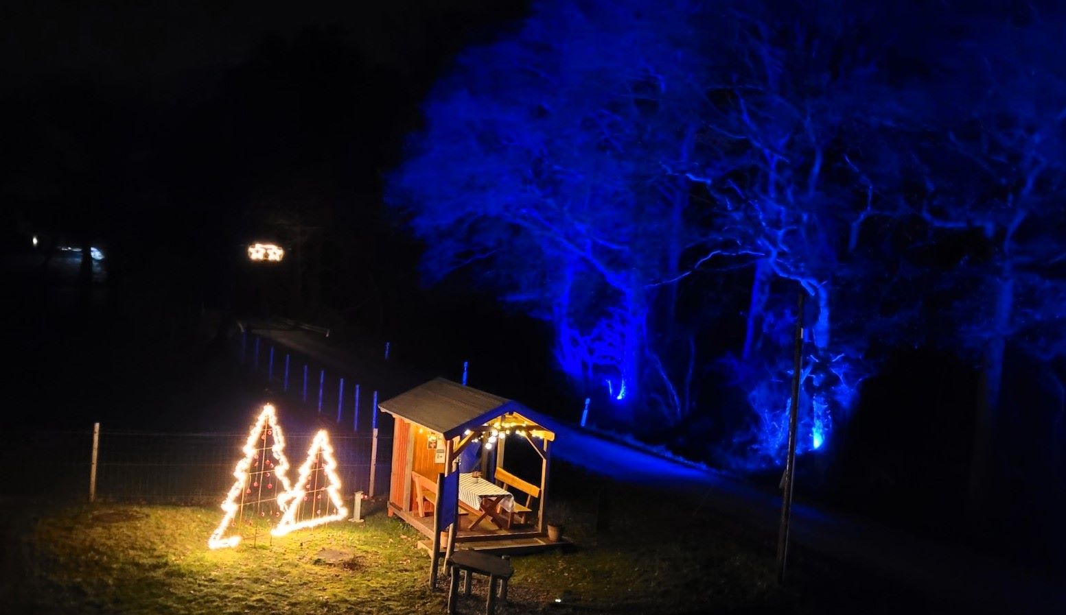 Weihnachtslichter bei Familie Bone im Dämmerwald