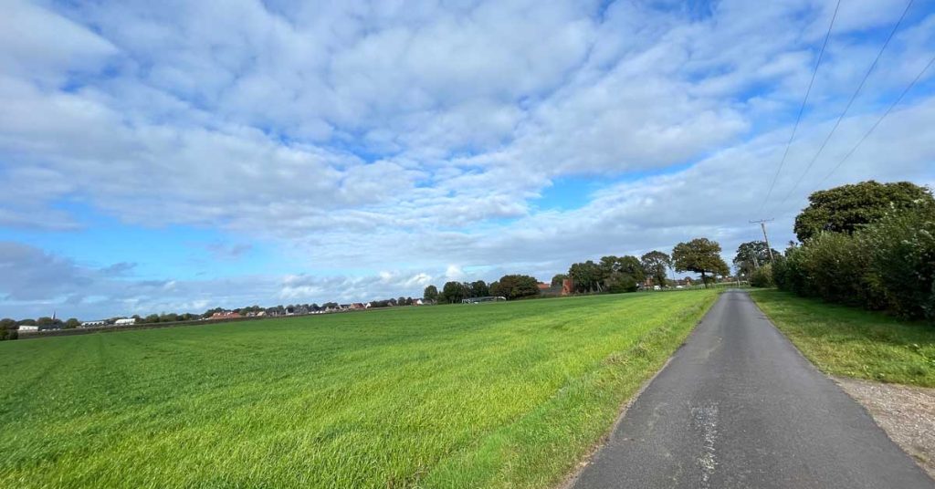 Wölfe in der Gemeinde Raesfeld und Erle