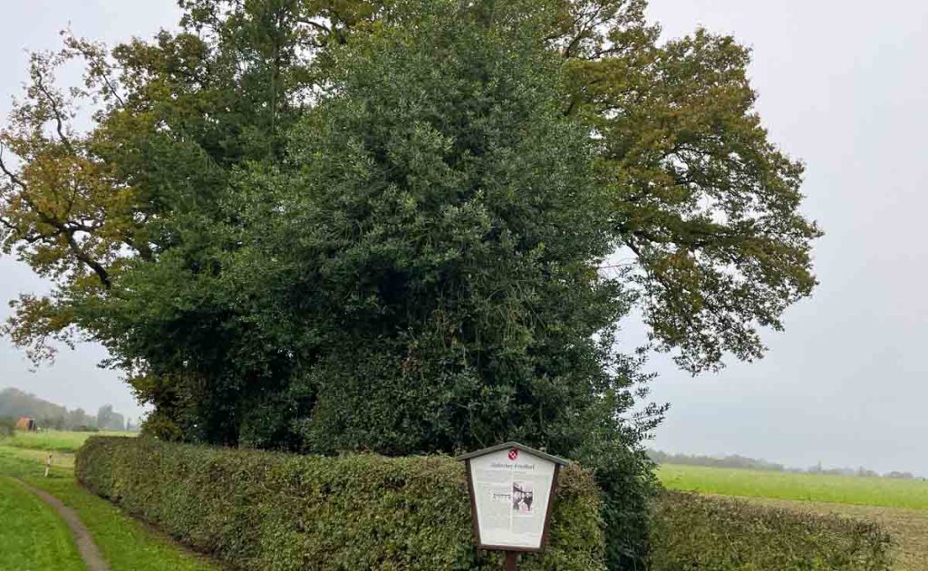 Jüdischer Friedhof in Erle