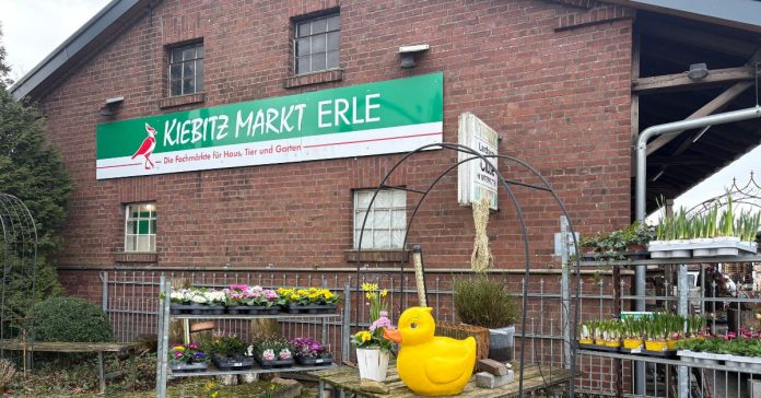 Kiebitzmarkt Erle