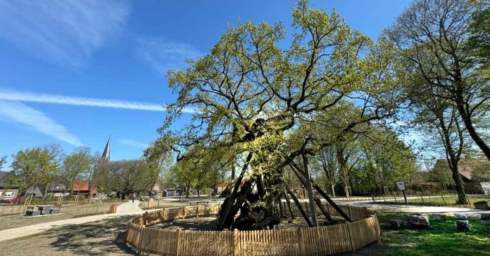 Femeichenpark in Erle-Eröffnung Ende April 2025
