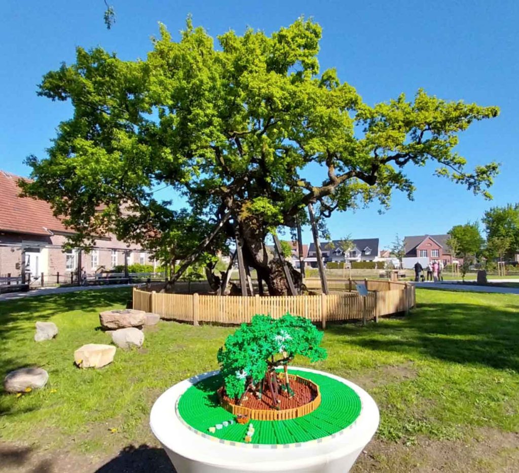 Lego_Femeiche Raesfeld-Erle