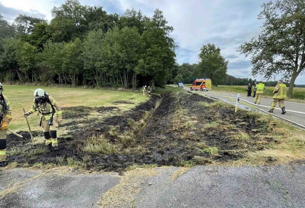 Brand in Homer bedrohte angrenzenden Wald