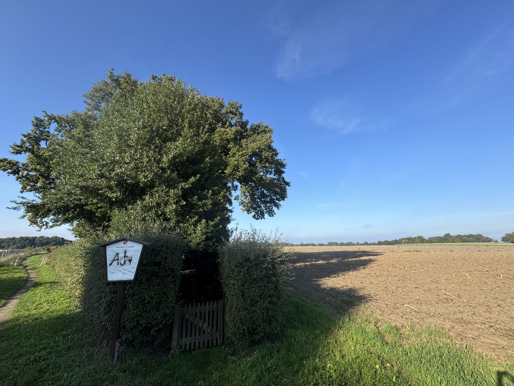 Antisemitische Beschmierung am Informationsschild am jüdischen Friedhof in Raesfeld-Erle