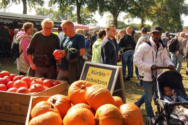 Bauernmarkt Stegerhoff 2025 in Raesfeld-Erle
