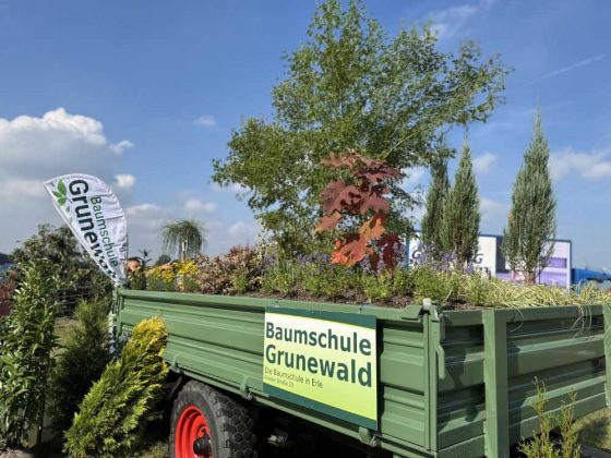 Baumschule Grunewald aus Erle mit herbstlicher Bepflanzung