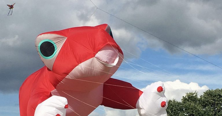 Freizeittipp- Drachenfest 2025 in Borken Hoxfeld