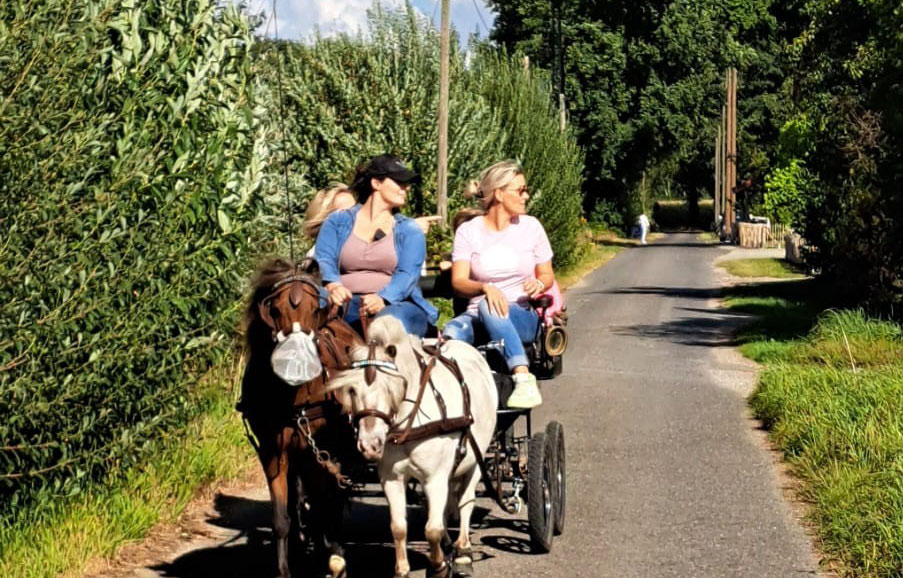 Sommerfest TrauerHalt Erle 2025