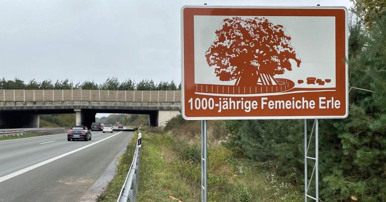 Femeiche Erle-neues Schild-BAB 31