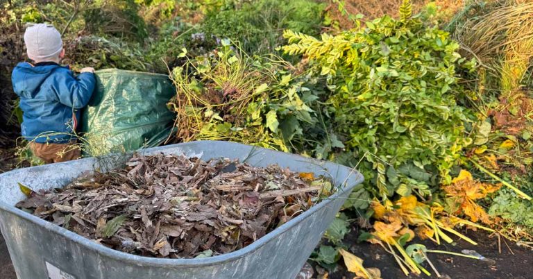 Herbstzeit ist Denkzeit: Was dein Garten jetzt (nicht) braucht