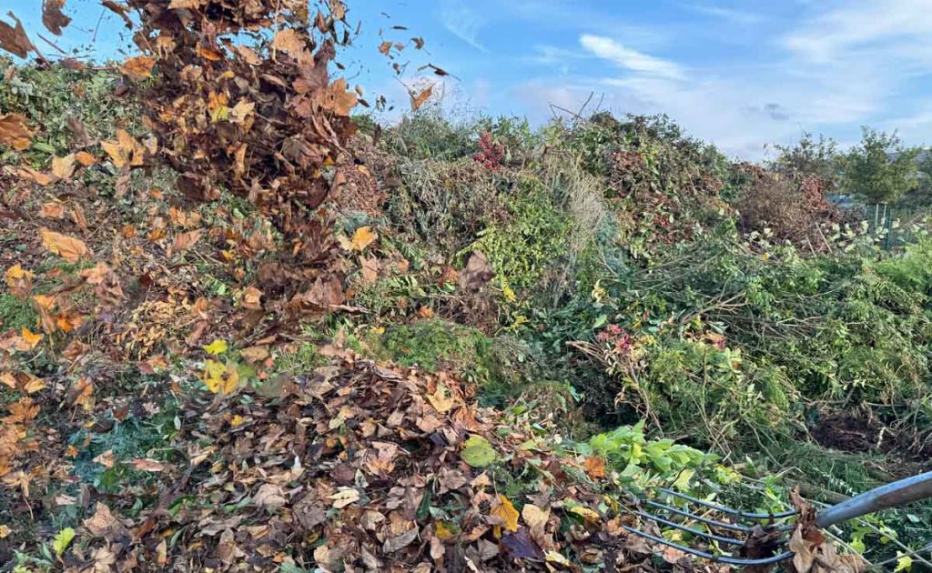 Herbstlaub-Entsorgung Raesfeld und Erle