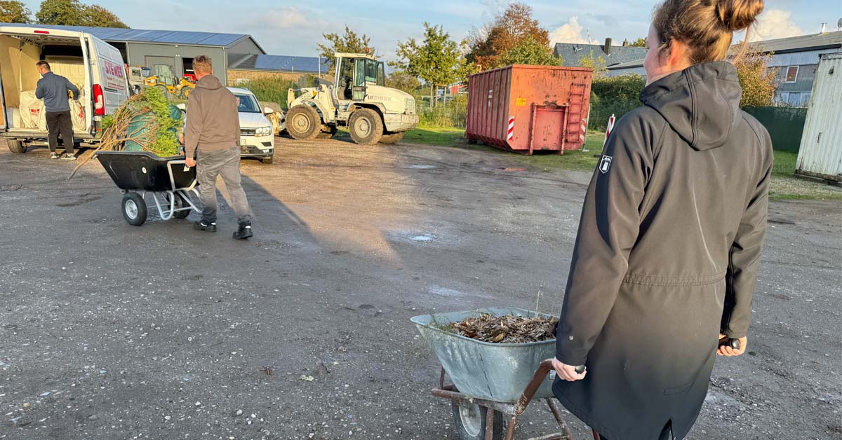 Laub-Entsorgung-Raesfeld