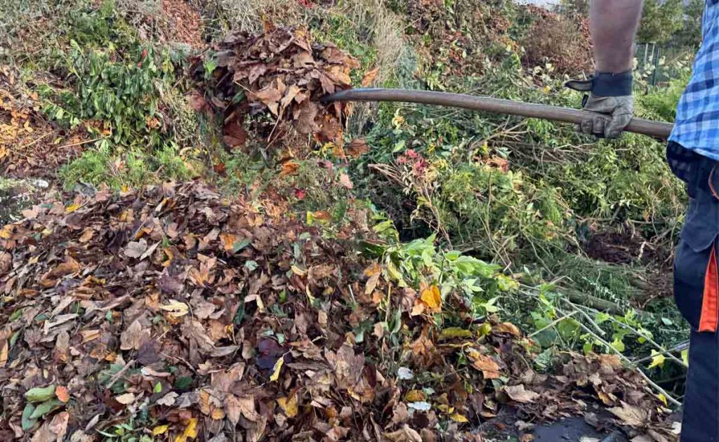Laub im Herbst und Kompost