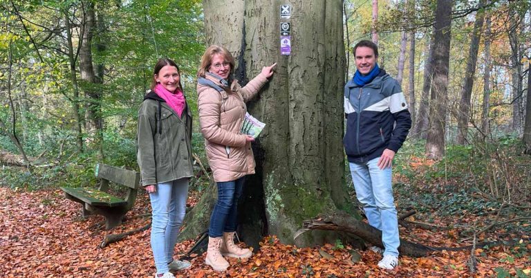 Wandernde ohne Orientierung: Naturpark Hohe Mark ruft zur Mithilfe auf