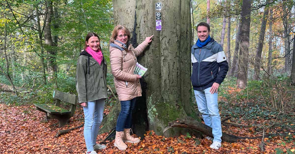 Naturpark Hohe Mark-Wandern auf Irrwegen