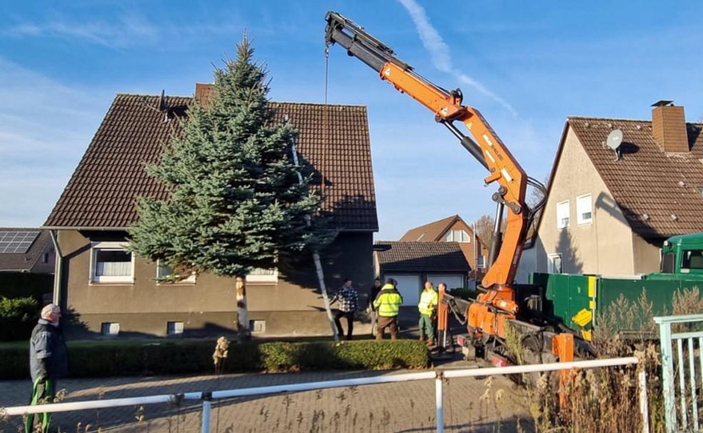 Advent-Weihnachtsbaum vor Brömmel-Wilms aufgestellt