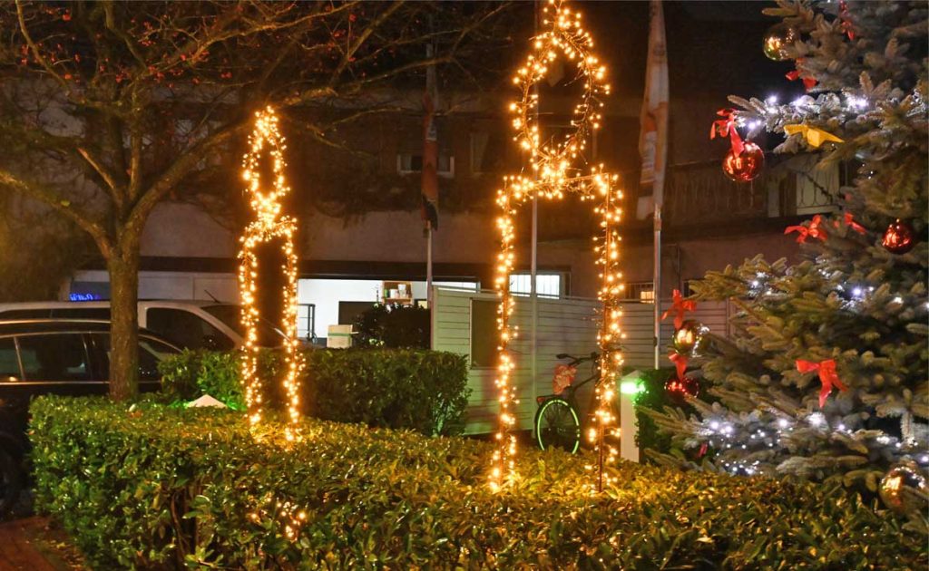 Erle im Münsterland leuchtet