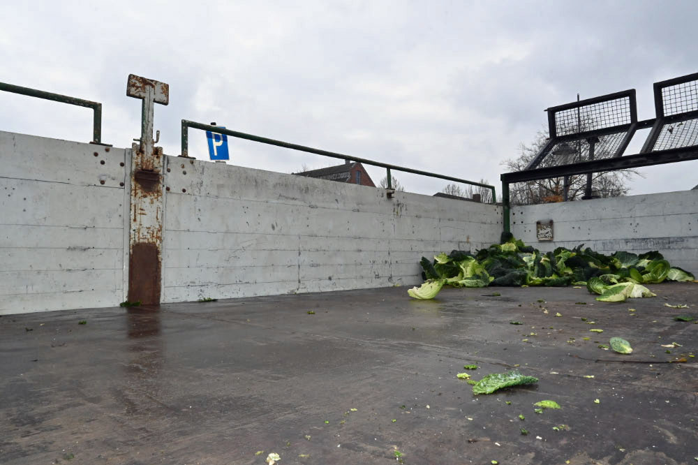Kappesmarkt Raesfeld 2025 – reges Markttreiben im Ortskern
