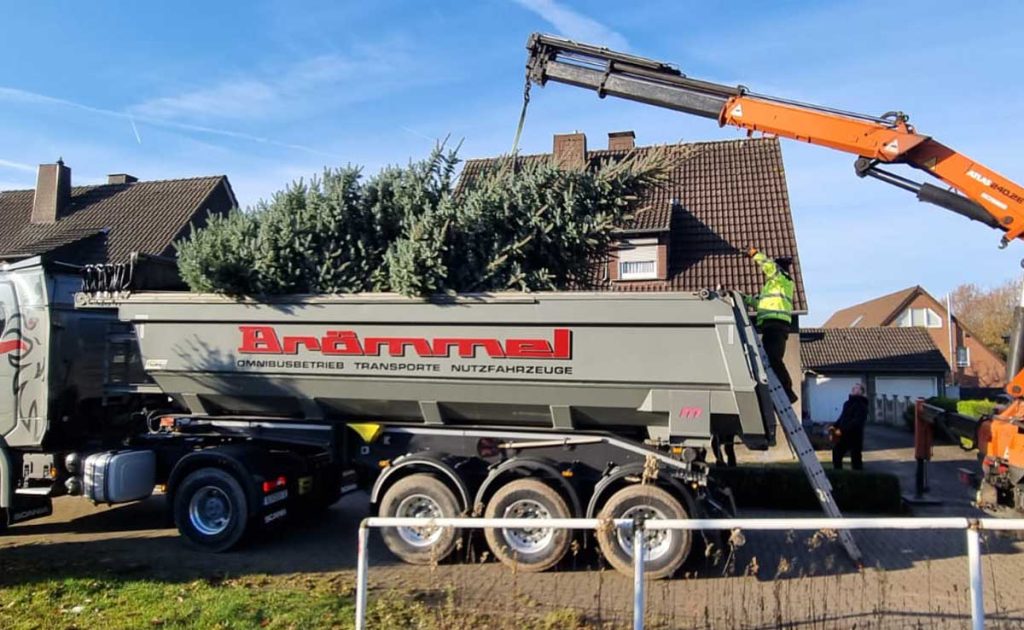 Erler Weihnachtbaum