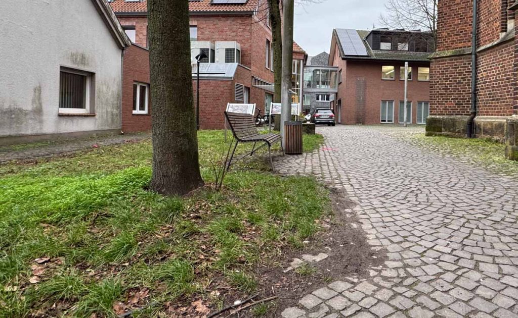 Alter Baumbestand an der St. Martin-Kirche sorgen für Kritik in der Politik