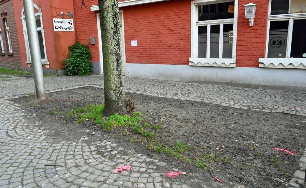 Bäume zwischen Kirche und Gehweg am Kirchplatz St. Martin. Der geringe Abstand zur Kirche und der verdichtete Boden gelten als problematisch.