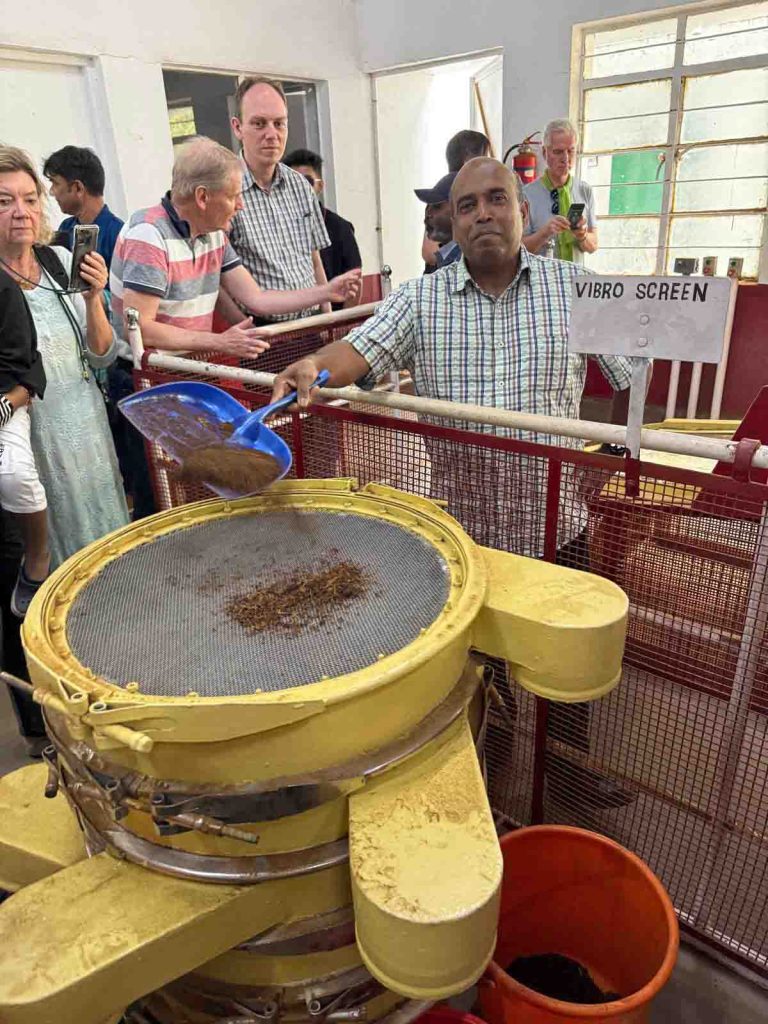Besuch in einer Teeplantage in Indien