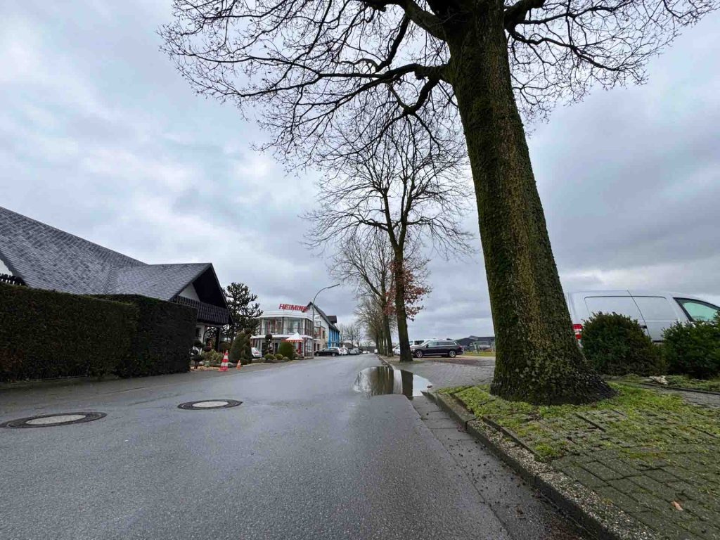 Die Wurzeln der Straßenbäume heben nach Angaben der Verwaltung seit mehreren Jahren den Gehweg an.