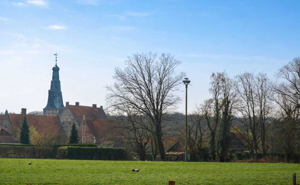 Storchenpaar am Wasserschloss Raesfeld ist wieder zurück. Gibt es Nachwuchs?
