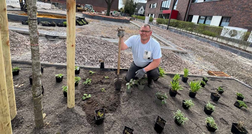 Andre Hildebrand setzt neue Stauden auf dem Dorfplatz in Erle