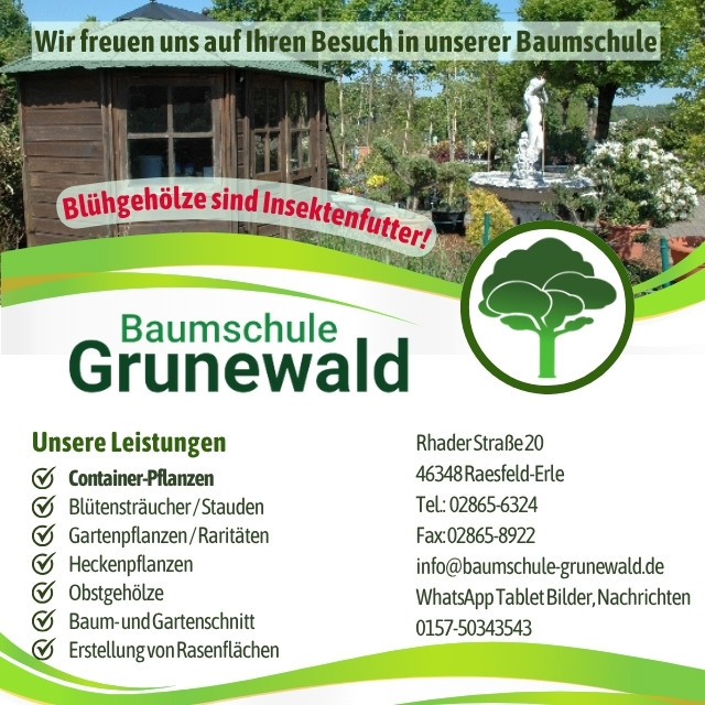 Anzeige Baumschule Grünewald zum Schützenfest Erle 2026