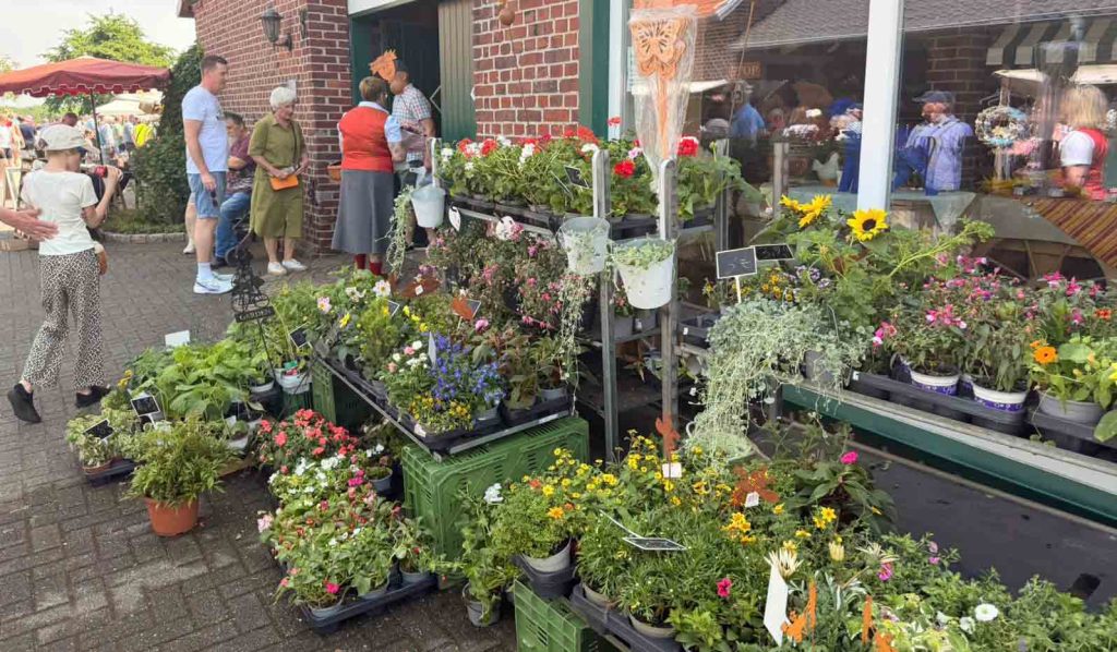 Bauernmarkt Sothold in Raesfeld 2026