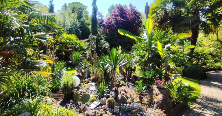 Offene Gartenpforte startet im Garten Seggewiß