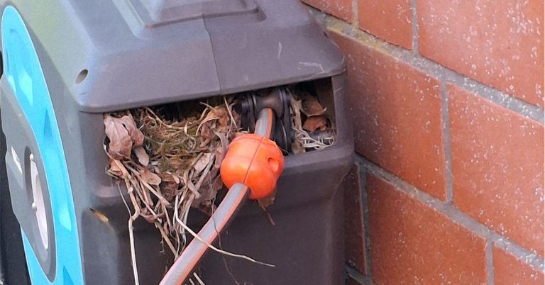 Rotkehlchen stoppt Gartenarbeit in Raesfeld