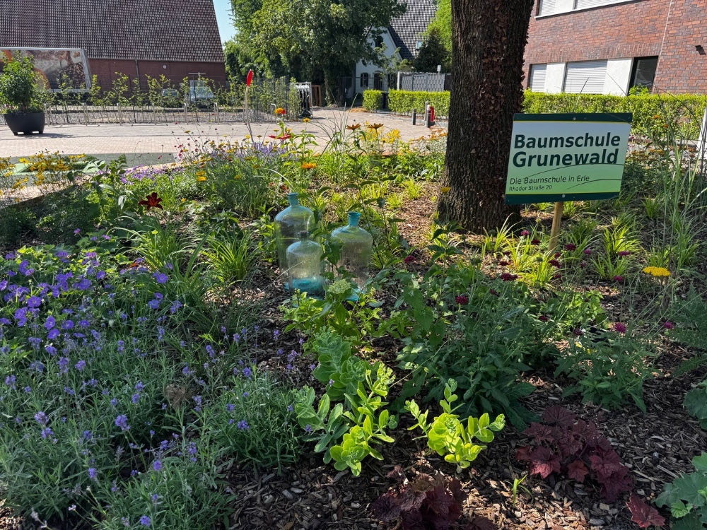 Blühende Beete auf dem Dorfplatz Böckenhoff in Erle