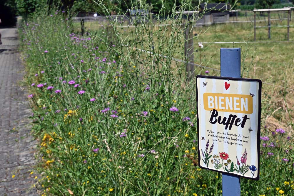 Blumen und Natur im Garten von Liesner bei den Gartenblicken 2026 in Raesfeld