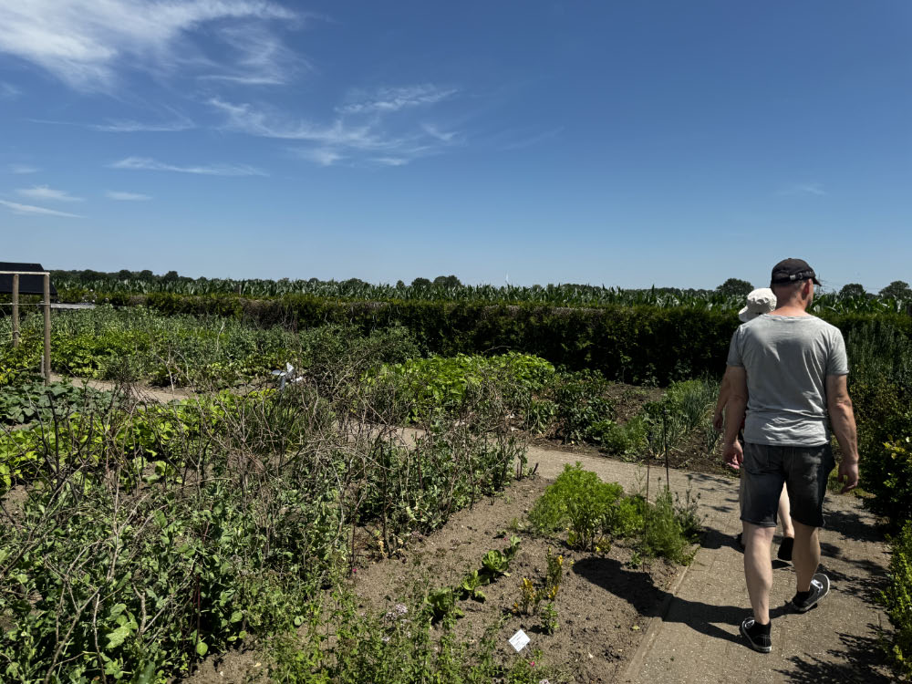 Gemüsegarten bei den Gartenblicken 2026 in Raesfeld