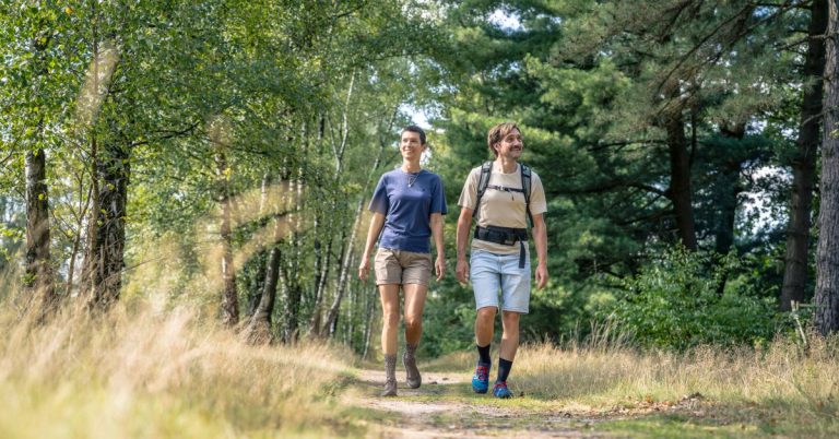 Zwei Wanderer sind auf einem Waldweg im Naturpark Hohe Mark unterwegs
