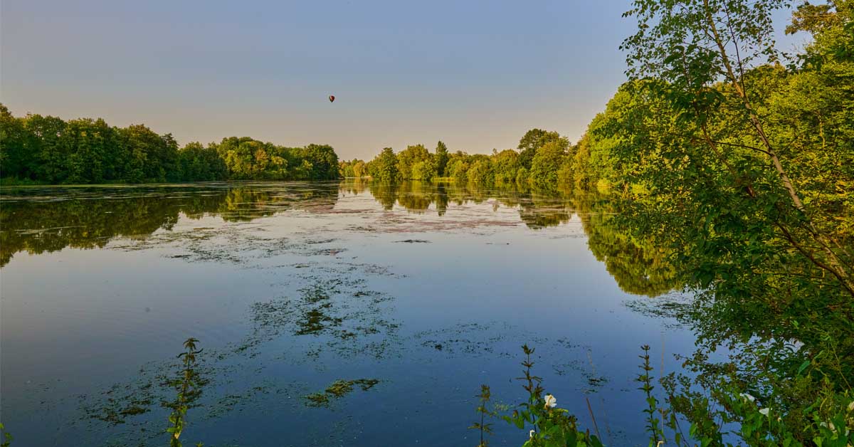 Blaualgen im Pröbstinger Landschaftssee