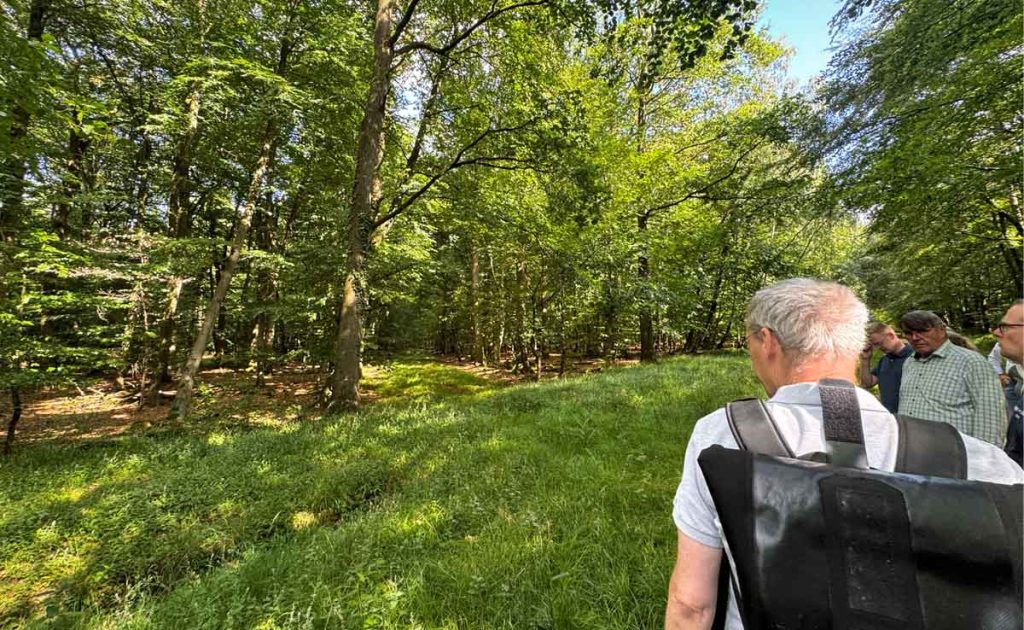 Wald-Bestand Tiergarten Schloss Raesfeld