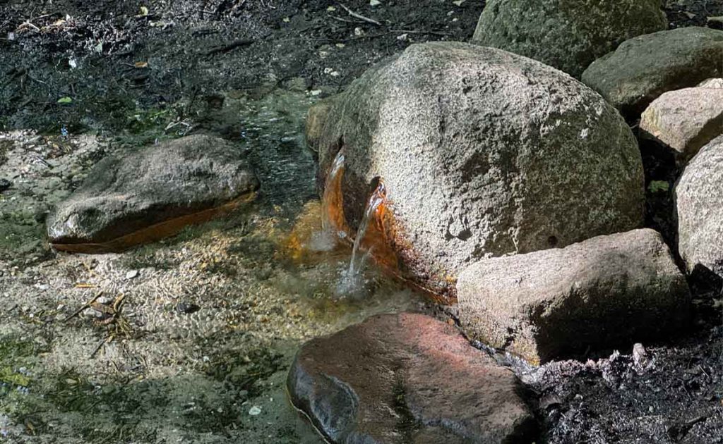 Die Wellbrock-Quelle liegt mitten im Naturschutzgebiet im Tiergarten von Schloss Raesfeld