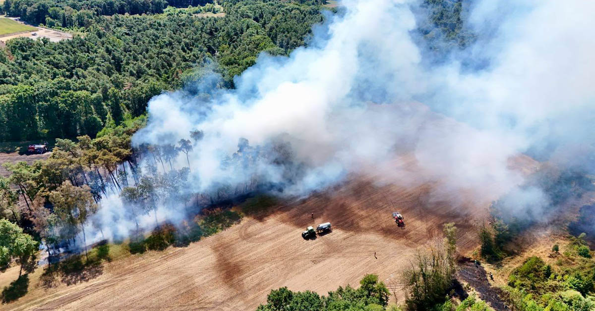 Vegetationsbrand in Rhedebrügge: Großeinsatz