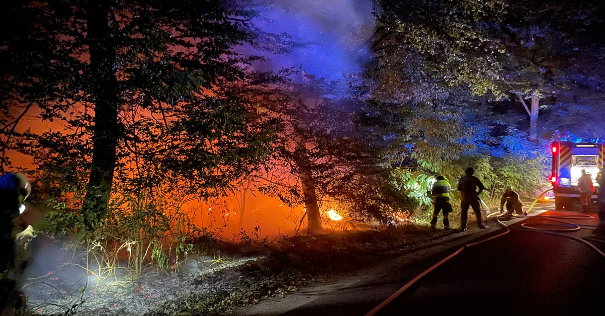 Feuerwehr Raesfeld bei einem Vegetationsbrand an der Straße Am Burgesch