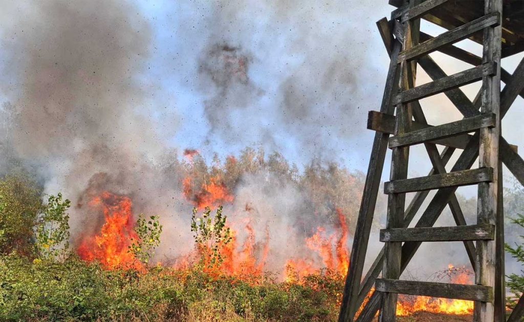 Vegetationsbrand in Rhedebrügge: Großeinsatz