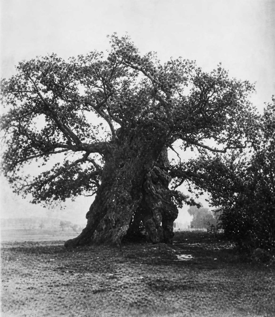 Die historische Femiche in Erle um 1860. Foto: Petra Bosse/Repro