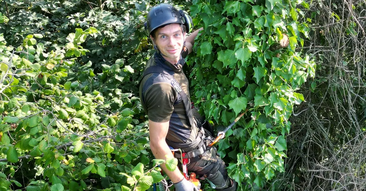 Tim Herberholz Baumsteiger