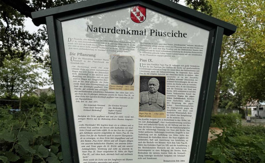 Neue Info Tafel an der Pisu Eiche in Erle