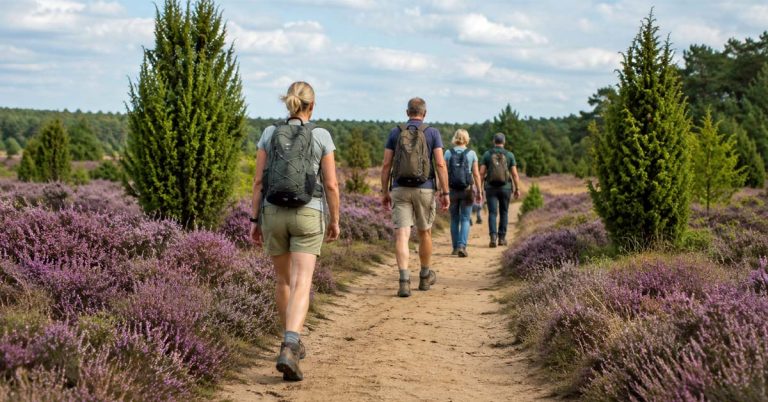 Wandern durch die Wacholderheide Haltern