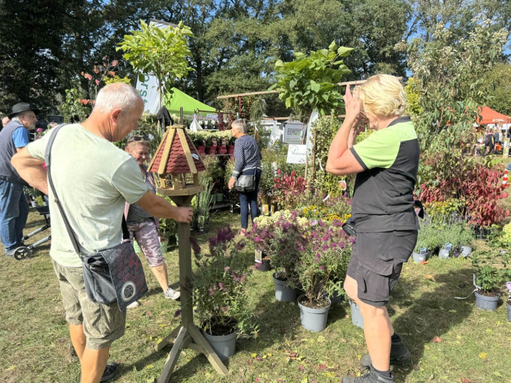 Stauden und Blumen auf dem Bauernmarkt Stegerhoff in unterschiedlichen Farben und Arten