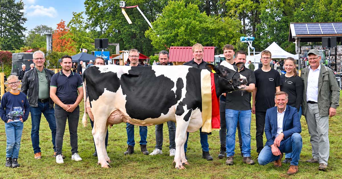 Grand Champion Fanny beim Tag der Landwirtschaft in Borken-Marbeck